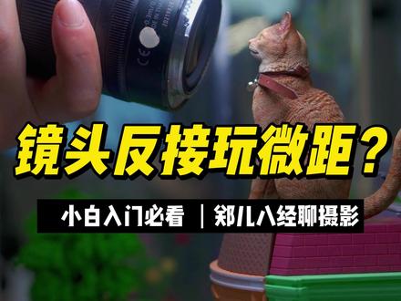 先有CMOS后有天,反接镜头似神仙!#郑儿八经聊摄影 #微距镜头 #索尼 #佳能 #尼康