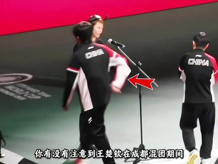 “王楚钦2025年成绩到底有多出色?他俨然已经蜕变为国乒男单领袖”#王楚钦 #国乒