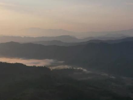 来看海南真正的“原住民”