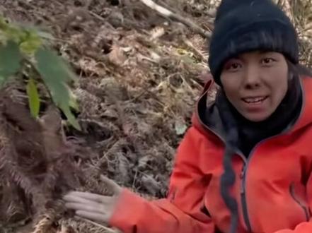 终于弄明白了,“冷美人”为啥一直硬抗不退赛了