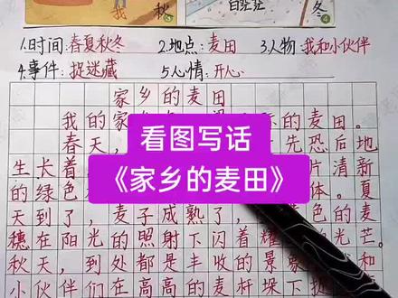 看图写话《家乡的麦田》#小学作文 #看图写话 #教育 #抖音热门 @抖音小助手