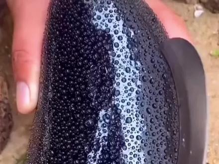 茄子?不对!网友:这居然是紫皮芒果 #茄子 #芒果 #水果