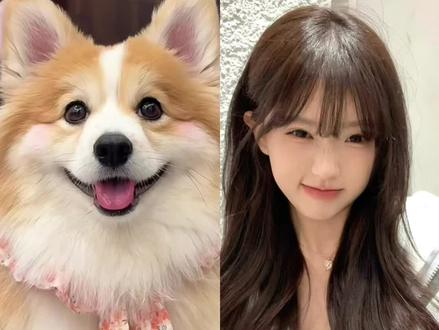 当你有一张自己的照片和金毛的照片,那你就会得到这个!和宠物拥抱合照的指令教程来了#和毛孩子合照 #和猫咪合照 #豆包ai#豆包P图已经nextlevel了#和宠物合照 和自家宠物的合照 豆包p图指令狗狗动图 豆包宠物写真 ai指令 抖音豆包小程序入口 豆包p图指令自然真实 豆包指令猫咪狗狗合照 豆包指令和宠物合照 和小猫合照 ai口令豆包 豆包p图指令双人合照 豆包p图指令猫咪 豆包p图和小猫合照 豆包p图猫咪围圈合照 豆包小程序入口 和萌宠合照 小时候和狗狗合照ai指令 小时侯和宠物ai合照 小时候和狗拥抱ai口令 小时候和猫拥抱ai口令 小时候和狗拥抱ai口令原文 小时候和狗狗合照 小时候和狗狗合照口令 小时和猫咪合照 小时候和猫咪合照指令教程