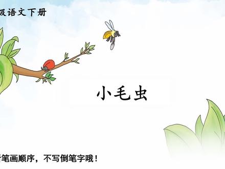 二下生字笔顺22小毛虫
