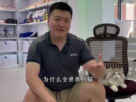 为什么全世界的猫咪都不爱喝水? #猫咪 #养宠指南
