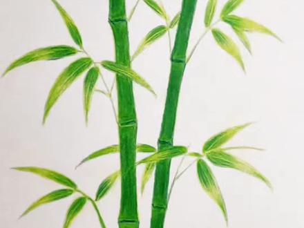 如何画竹子,彩铅简笔画#每日一画挑战365天 #彩铅 #跟着抖音学画画