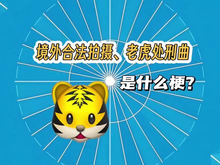 境外合法拍摄、老虎处刑曲是什么梗?#无不良引导 #无不良导向