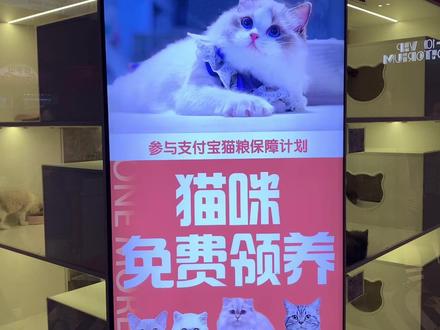 大家觉得这个商业项目行得通吗?#创业路上的我们