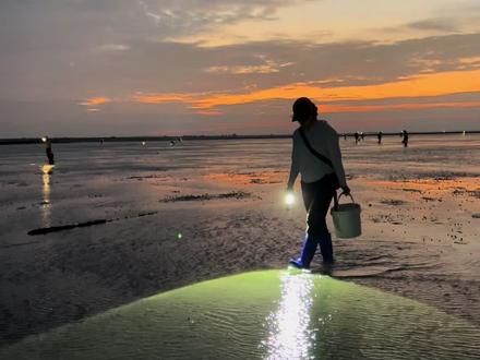 主打一个不嫌弃,就能收获满满。#尝尝大海的味道#赶海生活#海上日出