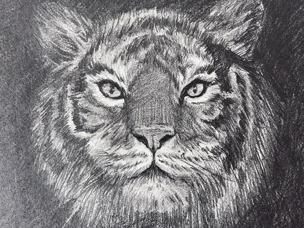 一看就会,一上手就废#素描老虎