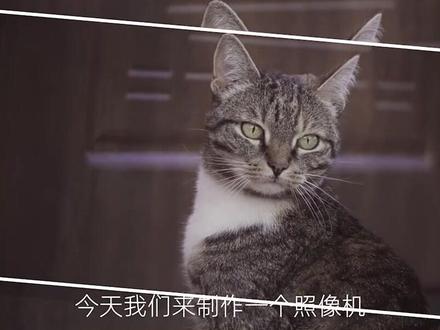 Pr制作照片定格效果#pr教程 #视频剪辑教程