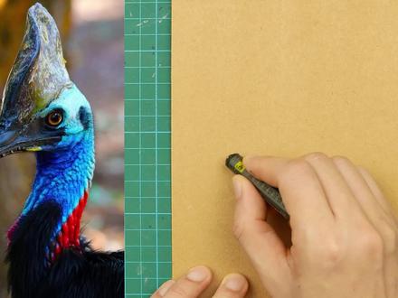 油画棒速写:鹤鸵 #油画棒 #油画棒教程 #画画 #一起学画画