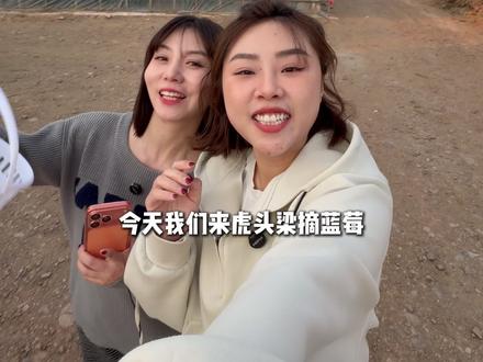 周末一起来采摘园吧!好甜好甜的蓝莓🫐#蓝莓种植 #蓝莓采摘 #采摘园 #周末去哪儿 #蓝莓熟了