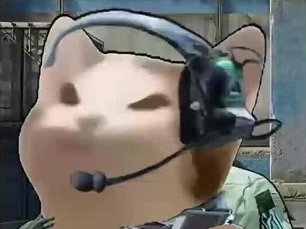 为什么三角洲鼠鼠文化要消失了 #三角洲 #三角洲跑刀 #三角洲行动