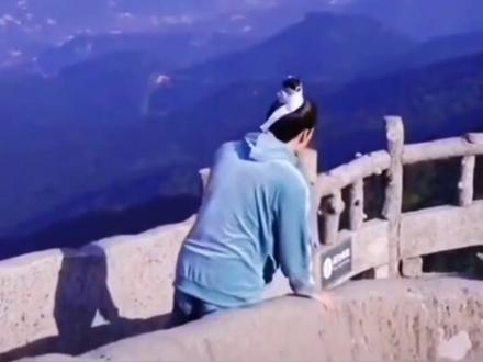 #刘学义 靠嘴碎圈粉无数,哈哈哈~感觉这个版本内容全一点