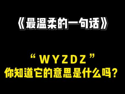 我听过最温柔的一句话,大概就是“WYZDZ”,你知道它是什么意思吗?#情感语录 #情感共鸣 #艾特你想艾特的人 #剪映 #卡点