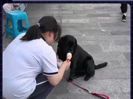 当狗开始卷健身,打工人破防:到底谁在过“狗日子”? #宠物经济 #社会百态 #宠物健身房 #宠物消费