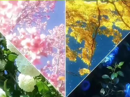 你们要的线性切割风景卡点教程来啦 线性切割风景卡点 线性切割风景卡点剪辑 线性切割风景卡点 线性切割风景卡点模板 线性切割风景卡点特效 线性切割风景卡点转场
线性切割转场效果 线性切割花景卡点视频 线性切割风景卡点剪辑软件 线性切割风景卡点音乐线性切割风景素材 搜索 线性切割风景素材 线性切割转场效果 线性切割风景素材推荐 线性切割图案 线性切割图案图纸 线性切割素材 线性切割剪辑 线性切割 线性切割画图 线性切割简易图线性切割风景教程 线性切割转场效果 线性切割风景教程 线性切割图案 线性切割图案图纸 线性切割简单图案设计 线性切割c4d 线性切割蒙版教程 线性切割 线性切割教程 线性切割画图#剪映 #线性切割卡点照片