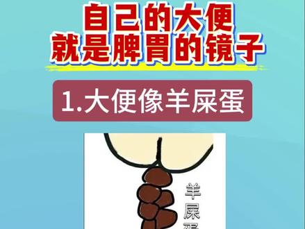 自己的大便就是脾胃的镜子#大便 #脾胃