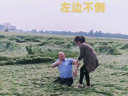 老天爷你咋不挣挣眼啊.两边小麦都不倒.今年你让俺一家吃杂面啊
