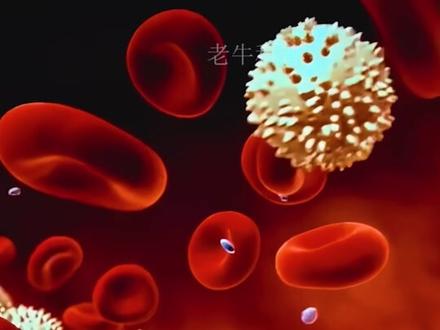 抗蛇毒血清是如何制作的? #涨知识 #科普一下