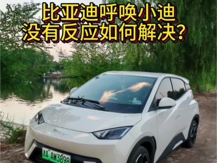 比亚迪小迪唤醒失灵!90%车主都踩这个坑 比亚迪车主注意喊小迪没反应,方向盘语音按键失灵,不要慌,并不是车子的故障,因为麦克风定位缺陷只有12个月有效期,到期会自动关闭,重新授权就能恢复正常,还没遇到的也建议收藏,以备不时之需,每天只需分享比亚迪是用用车小技巧哟#比亚迪#比亚迪海鸥#每天一个用车知识