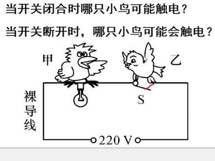 初三物理:哪只小鸟可能会触电?