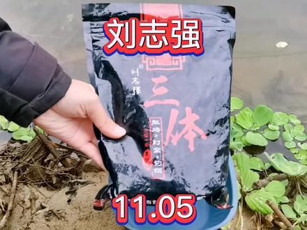刘志强三体打窝#测饵 相信不少钓友都用过了吧,有没有加拉丝粉单开的钓友呢?这是专攻鲤鱼去了吗#钓鱼人 #一直都是喂鱼人