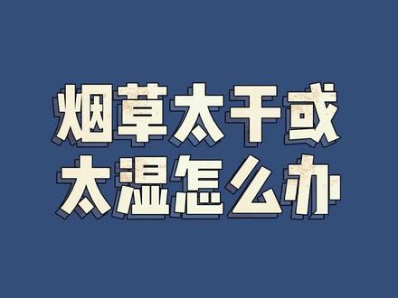 椒叔问答57|烟草太干或者太湿怎么办