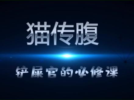 猫传腹会传染吗?猫传腹怎么预防和避免呢? #猫传腹 #猫传染性腹膜炎 #养猫经验分享 #铲屎官必修课