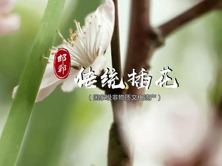 国家级非物质文化遗产 传统插花