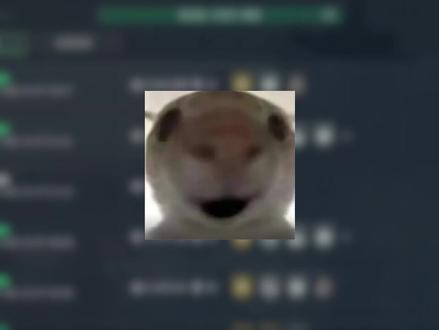 大红带不出来还有补偿? #这是一个悲伤的故事 #内容过于真实 #三角洲