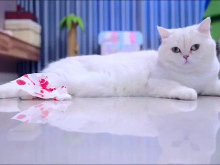 更新啦 #萌宠出道计划#游戏#游戏日常#我的世界#游戏解说