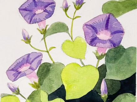 小清新~水彩~牵牛花