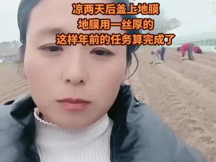 #越冬甘蓝花菜种植,河南民权尹店集育苗厂#抖音助农