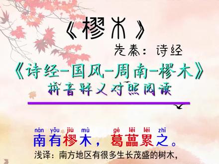 诗经第四篇:樛木拼音释义版。南有樛木,葛藟累之。乐只君子,福履绥之。诗经-国风-周南-樛木#樛木 #诗经#儿童启蒙 #国学文化 #中华好诗词