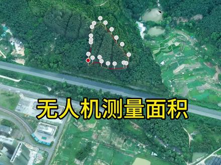 无人机建模测量桉树林地#桉树狂人#桉树