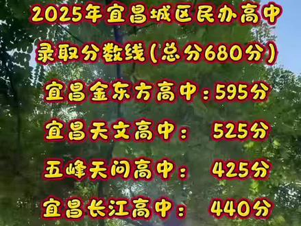 #中考 民办高中录取分数线