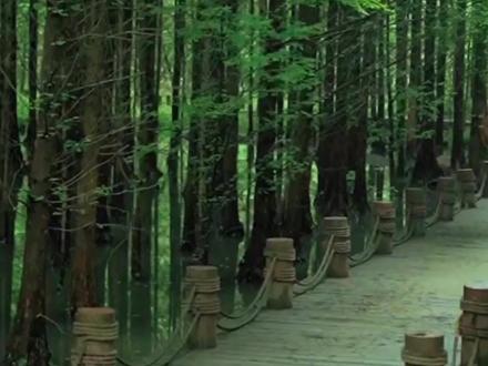 四川成都桤木河湿地公园,现实版的绿野仙踪,天然的大氧吧!