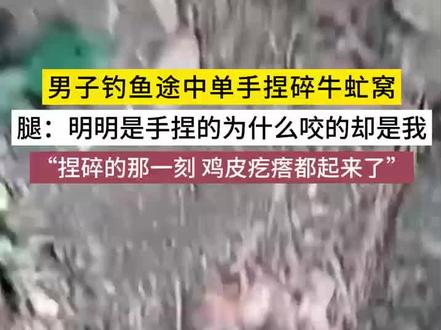 男子钓鱼途中单手捏碎牛虻窝#男子钓鱼途中