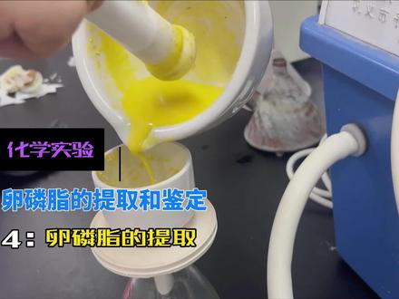 卵磷脂提取 乙醇萃取,研钵使用,卵磷脂,抽滤,蒸干