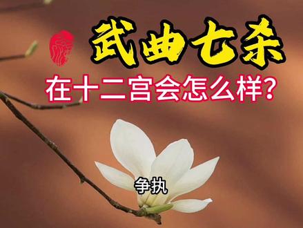 紫微斗数武曲七杀,武曲是钱,硬的等,七杀是线,平面,直等
就是硬碰硬,矛盾,争执,抗争,互掐,打架,吵架,在酉宫的话就是两个人打架必须有一个打趴下另一个#紫微斗数 #武曲七杀