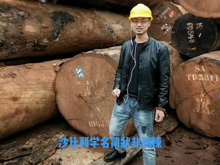 沙比利,一种几无缺陷软硬适中的进口木材,300+每方,做家具,实木门,菜板,灰常漂亮#进口木材 #家具