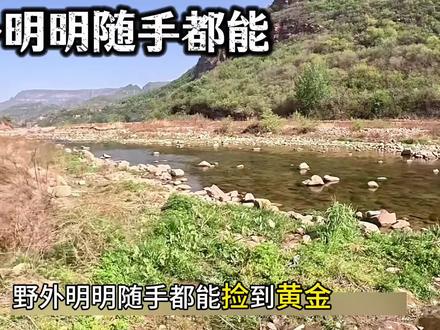 野外黄金没人捡?今天继续曝光“泥土”和“树木”等硬核找金秘籍#淘金 #砂金 #淘金者 #行业大揭秘 #黄金