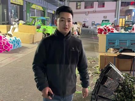 #斗南花卉 三招找你快速识别冷库花 #花店 #鲜花批发 #斗南花市 #斗南鲜花批发