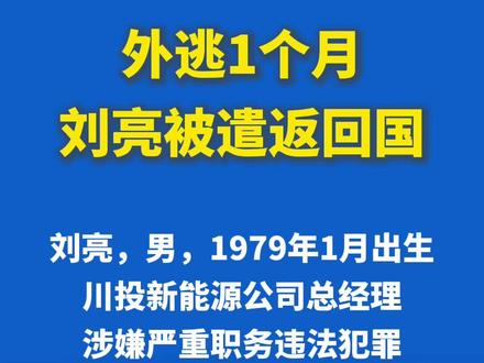 外逃1个月,刘亮被遣返回国 #媒体精选计划