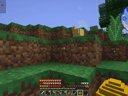 永恒的MC:姜姜给我整了个小小姜