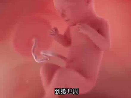 怀孕33-36周|胎宝宝每周发育变化
孕晚期进入关键阶段啦!宝宝的成长越来越快,妈妈的肚子也明显变大,行动起来更不方便,但每一次胎动都像小宝宝在打招呼。
.
怀孕33周:宝宝体重大约2kg,身长接近43cm。羊水相对减少,活动空间变小,所以胎动变得更有规律、更有力。
怀孕34周:宝宝大脑高速发育,对光线、声音都更敏感。体重增长明显,皮下脂肪增多,小脸蛋变得圆润可爱。
怀孕35周:宝宝的指甲、头发都已长出,免疫系统和神经系统继续成熟。此时的小家伙几乎具备独立生存的能力。
怀孕36周:宝宝体重大约2.6kg,身长接近47cm,大多数宝宝已经转为头朝下姿势,安静等待出生。胎动减少,但力量更大。
.
✨ 孕妈小提醒:
孕妈要注意数胎动,每天保持规律记录;同时留意宫缩和分泌物的变化,提早准备待产包。饮食上少量多餐,避免油腻,减轻胃部不适。
.
宝宝离和妈妈见面的日子越来越近啦,每一天都在做最努力的准备💖。
#怀孕33周 #怀孕34周 #怀孕35周 #怀孕36周