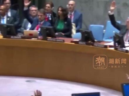 因美国一票反对 联合国安理会再次未通过巴以问题决议草案