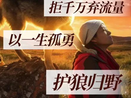 有人说李微漪的故事是炒作作秀,可冯小刚1200万买版权,她直接拒绝;故事再火,她也不开直播卖货,只求热度散去不打扰格林。
有人质疑故事是假的,可3000多万票房她分文未留,全投去若尔盖种了1万亩固沙林,还奔波十余年推动狼群监测站建立。自己却穷到打官司要版税,拖着肺气肿的病体,6月天裹着羽绒服在病房吊水电脑赶纪录片。
又有人骂她弃养格林,可城市容不下一匹狼,动物园里的狼瘦骨嶙峋还有刻板行为,她怎忍心?草原生活艰苦,缺物资少医疗,可她还是在海拔4000米的无人区扎营,徒手从藏獒口中救下格林,漫山遍野拆了300多个盗猎陷阱,冰天雪地里和亡命之徒周旋,弹尽粮绝时和格林三天没吃东西,仍死守狼山。
她像教孩子一样教格林捕猎、生存,告诉它遇到人类要拼命跑,因为盗猎者猖狂,她护不住一生,重返狼群才是格林唯一的生路。最终格林学会了爱人,更学会了怕人,得以活下来。
她图名?格林最火时她选择停更;她图利?卖房卖画室,透支身体,连稿费都要不回;她图陪伴?她说爱是克制,不是占有,成全自由才是真的爱。
一个城市长大的文弱女子,凭一腔孤勇,在刀尖舔血的日子里护下一匹狼,更以一己之力改变了世人对狼的偏见。在这个故事里明白:未来最稀缺的,从不是精心编织的套路,而是敢用生命活成故事,并用这束光,照亮现实的人。#李微漪 #格林 #伟大 #从返狼群